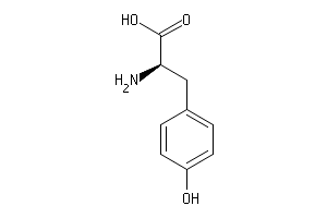 チロシン硫酸化