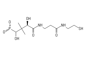 4′-ホスホパンテテイン