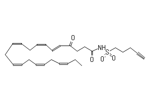 5E,7Z,10Z,13Z,16Z,19Z)-4-オキソ-N-(ペンタ-4-イン-1-スルホニル 