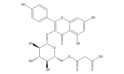 ケンペロール3-(6-O-マロニル)グルコシド | 化学物質情報 | J-GLOBAL 